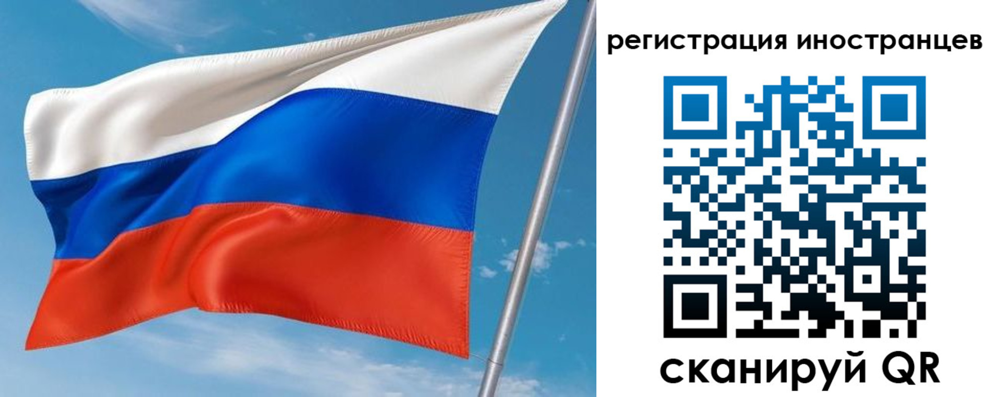 прописка гарантия в Луховицах